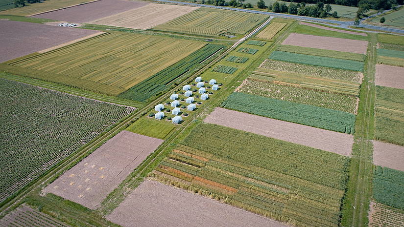 Experimental Station